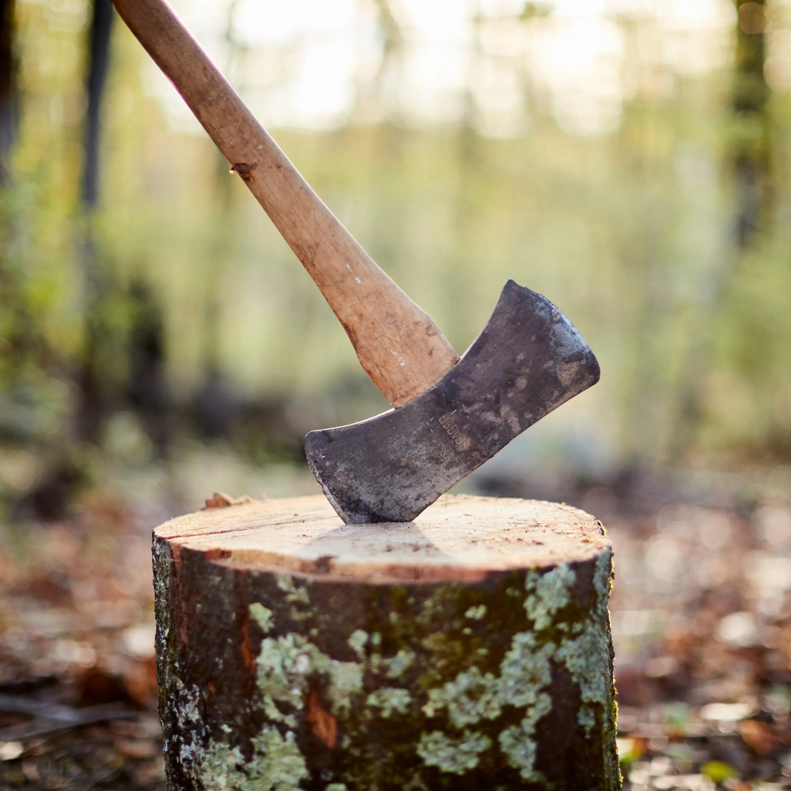 Firewood axe in wood