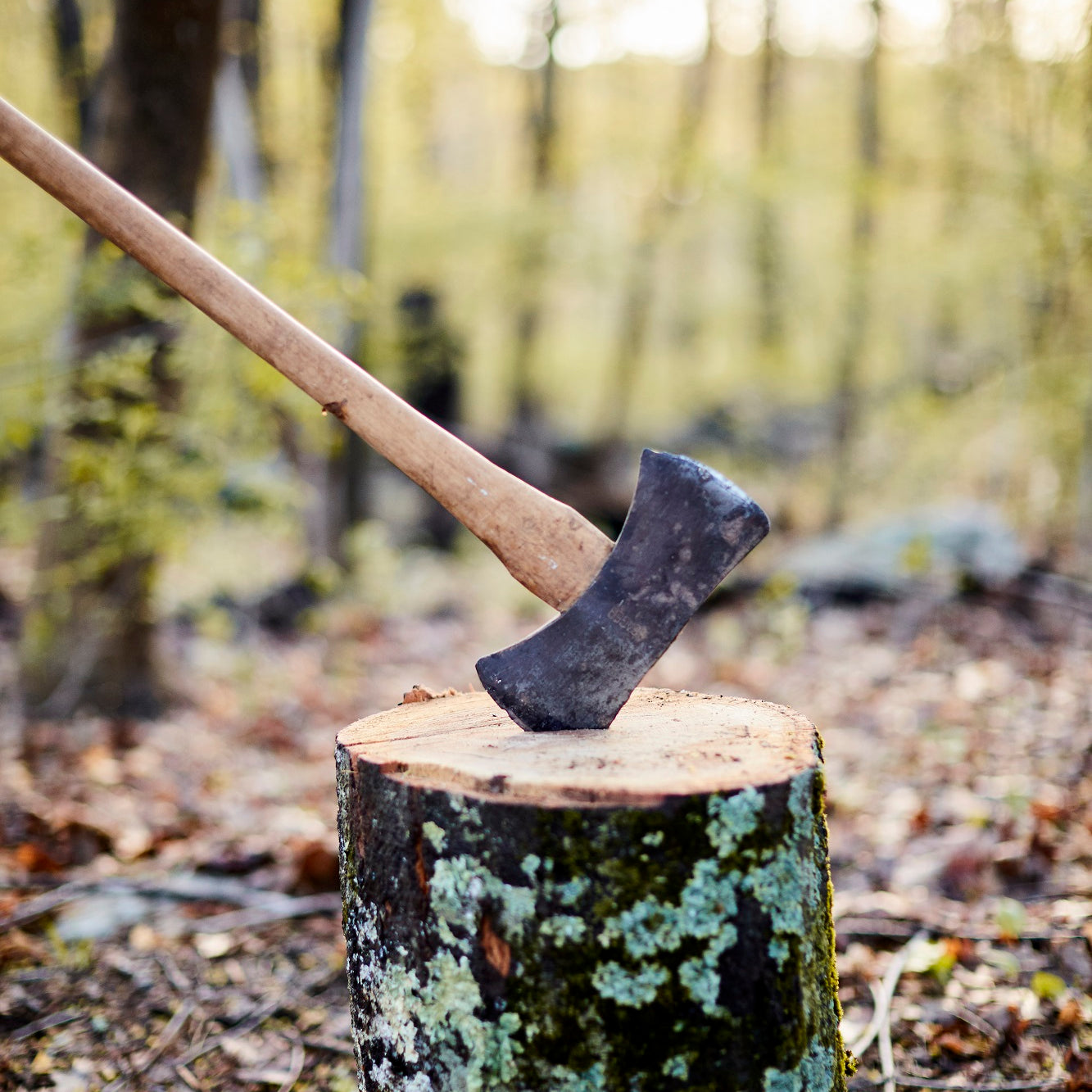 Firewood Vs Cordwood Vs Face Cord