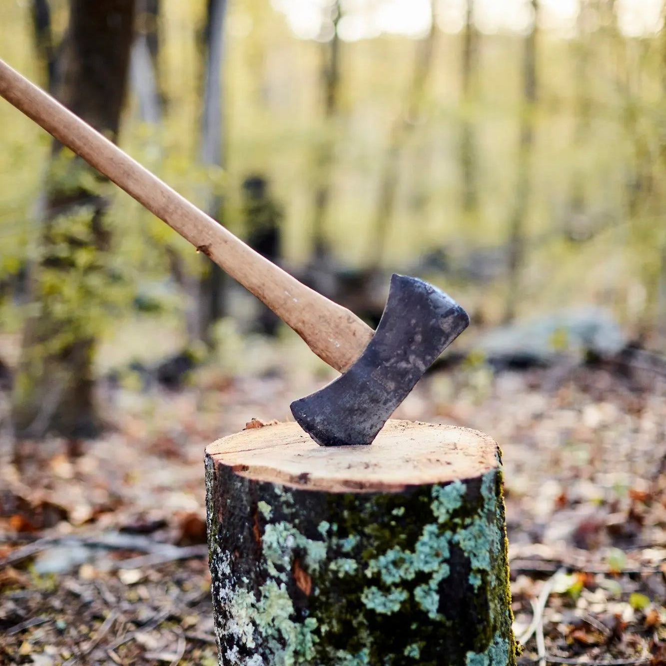 Axe hit into log
