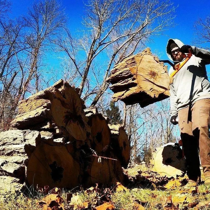 LogOX Forester Package LogOX