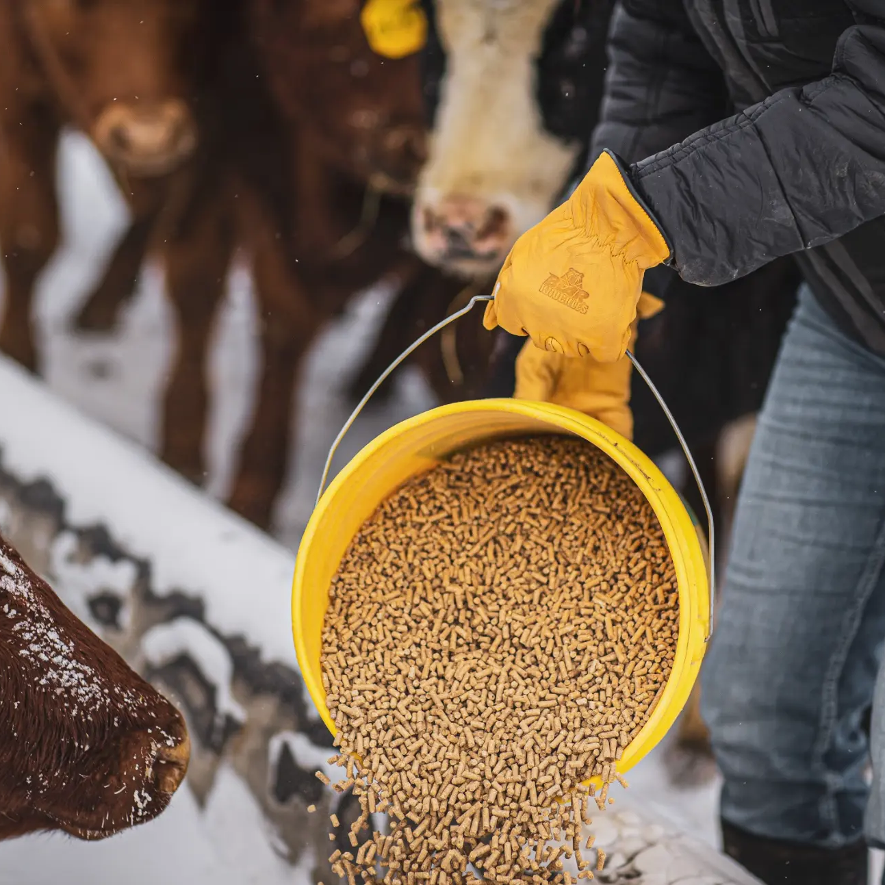 High Noon - D373 - INSULATED Bear Knuckles