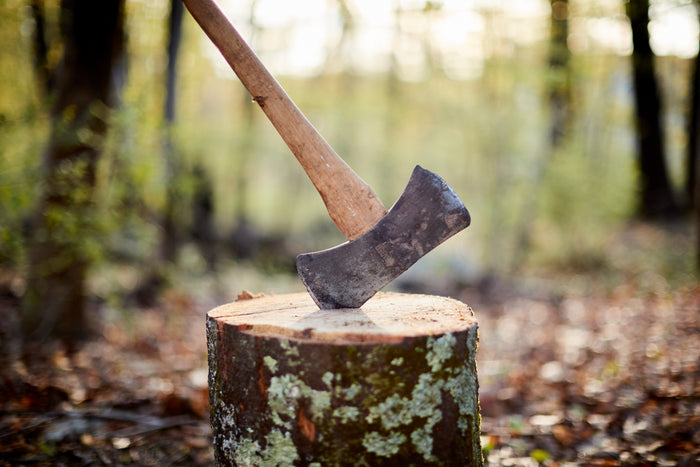 Firewood axe in wood