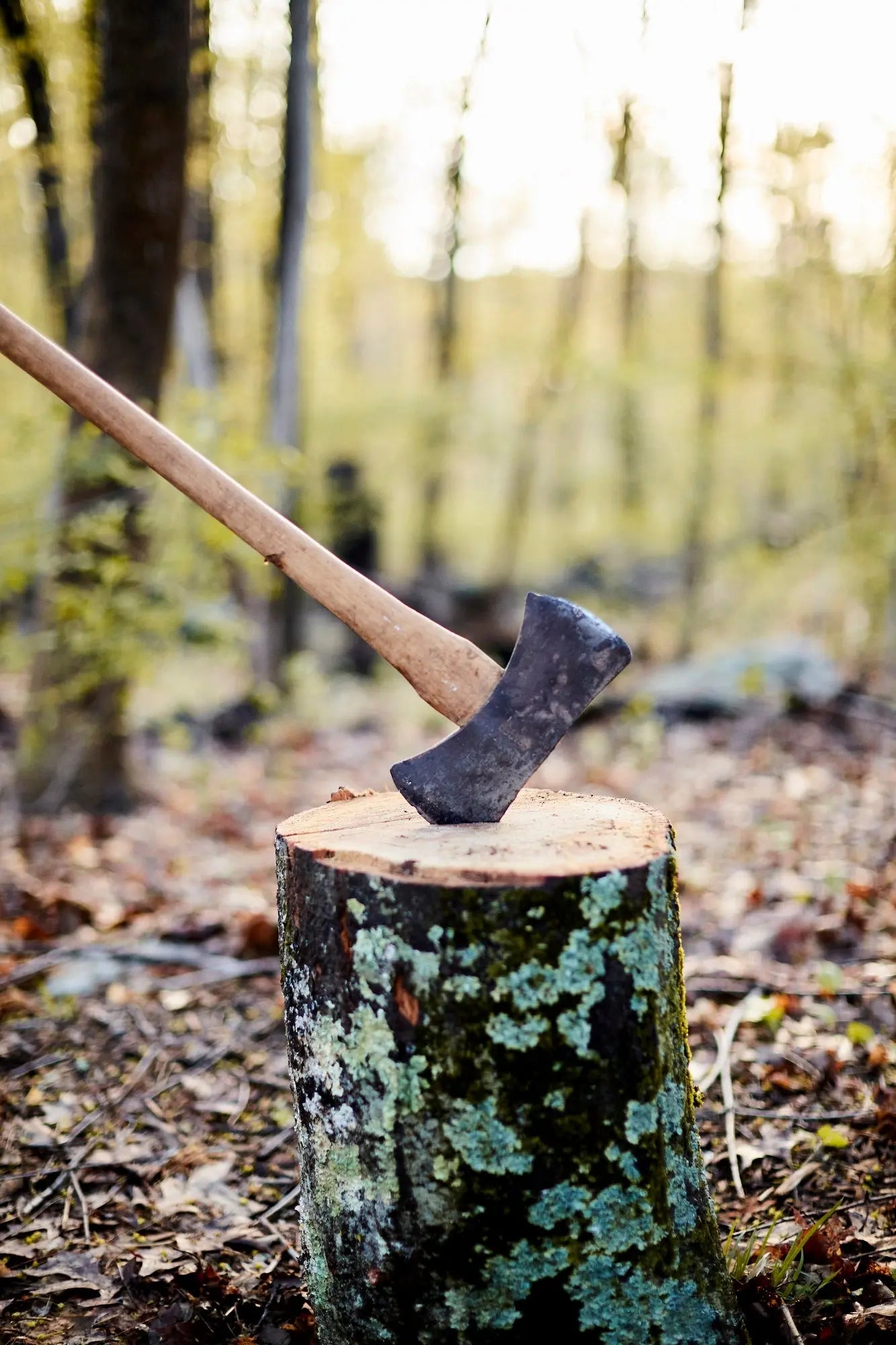 Axe hit into log