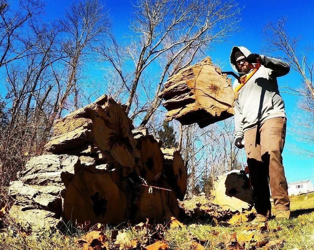 LogOX Forester Package LogOX